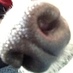 biscuit lover (@girlandlurchers) Twitter profile photo biscuit lover (@girlandlurchers) Twitter profile photo