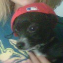 Lance Ewing - @LanceEwing - Twitter