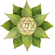 Flores de Bach, masoterapia, refexología, reiki, eneagrama, alineación de chakras, tarot y más