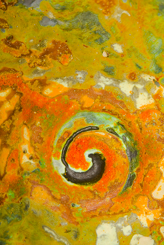 Australian Ceramic Artist - Member of The International Academy of Ceramics - Exhibits with Sabbia Gallery Sydney