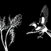 Oriole & Thistle (@oriole_thistle) Twitter profile photo Oriole & Thistle (@oriole_thistle) Twitter profile photo