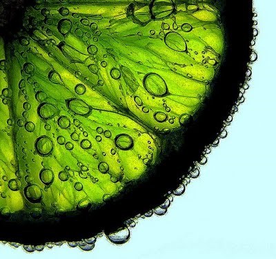 VanServices1's profile picture. 