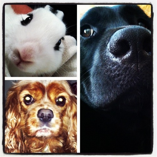 Jaxwillieaspen's profile picture. aNimAL CracKaz, BlunTS, TrEats & BitcheZZ