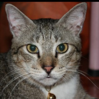 berryJuni0r78's profile picture. #ShoutOut ♀♂❹❷☯♡₱ℜ☮ℳ☻ ❤♬☆ #TeamFollowBack ★♪ #TMW #TLA #TRU #ViM #JGF ✳ #TFB ▓▬▓▒▀▓▀ ╫╟╖♠╫ #FOLLOW ℬÜTT⚆N 2