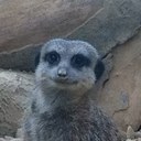 Shaun Butcher - @Shanghaishaun - Twitter