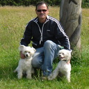 dave jacobs - @davetjacobs - Twitter