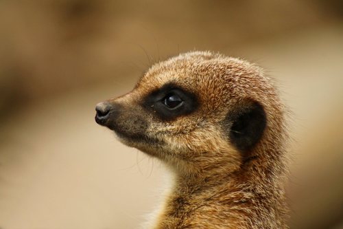 aBiG_Tree's profile picture. Gamer, tech geek, beer nut.  eCommerce & Digital Marketing Manager by day.