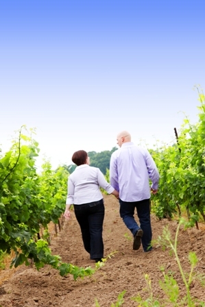 escapeinontario's profile picture. We are Julia and Todd - a professional couple who love to travel locally.  Here we share our travel experiences and offer up suggestions for great escapes!