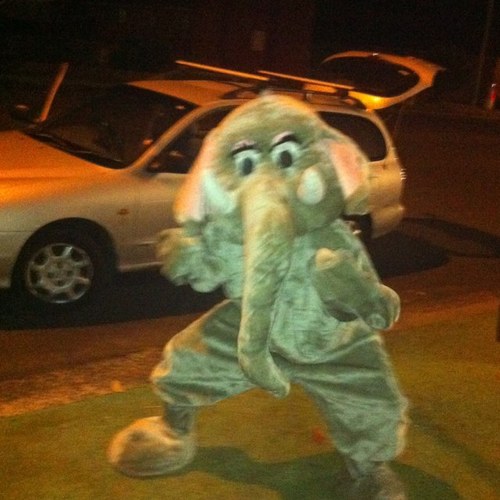 maksimlema's profile picture. 