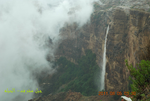 mom10010's profile picture. معلمة لغة انجليزية وبنت قبيلة(بلقرن)ديني وحجابي هماأغلى عندي من روحي التي تسكن جسدي