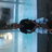 ralph_kap's profile image