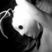 imac313 ๐บ๐ฆ ๐ฌ๐ง ๐จ๐ฆ (@imacnee) Twitter profile photo imac313 ๐บ๐ฆ ๐ฌ๐ง ๐จ๐ฆ (@imacnee) Twitter profile photo
