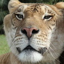 Jonathan purcell - @Jonboytron72 - Twitter