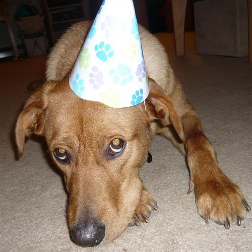 SmokeyRosey's profile picture. 