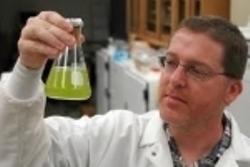 Regulatory and educational professional with experience in food safety, environmental research, teaching, advocacy, collaborations and student development
