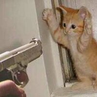 calebe julio d silva (@calebejuliodsil) 's Twitter Profile