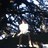 96JoseL's profile image