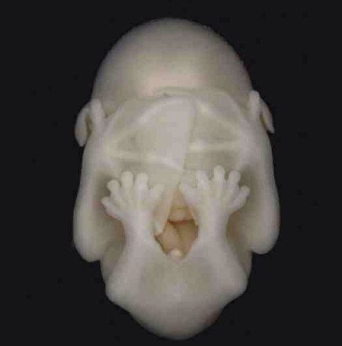 ewanhoo's profile picture. 