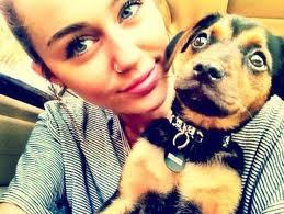 Esse e um fã- clube para quem gosta da diva Miley Cyrus .Aqui você terá noticias e muito mais da Miley .. Since :05/04/11 Sigam me que seguirei de volta !!