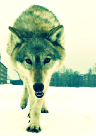 drivenbygreed's profile picture. Im fail guy