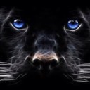 michael gresham - @mikeyfreshman - Twitter