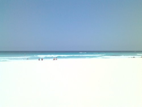 adrisarana's profile picture. 