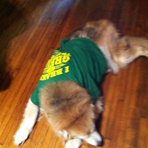 michele617_'s profile picture. 