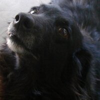 Carmen Vicente (@vcva18) 's Twitter Profile