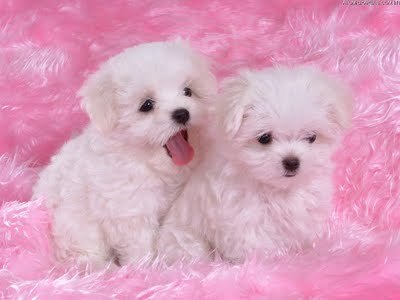 geise11's profile picture. 