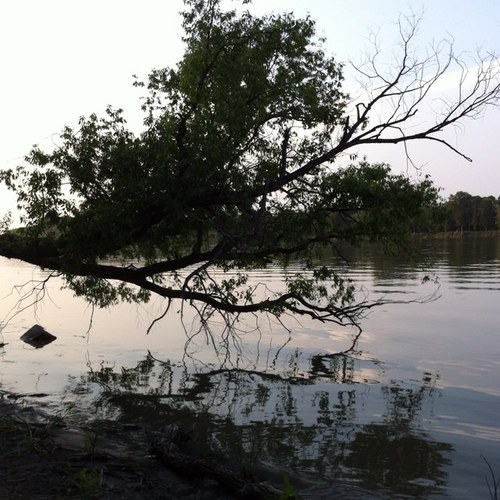 summerprblms's profile picture. 