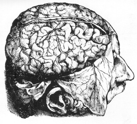 Internist-Adult Neurologist on call. Passionate professor. Brainchild of CDB Review Center. Dynamic social catalyst