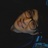 acemusic1234567's profile image