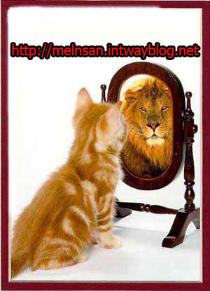 Dream__man's profile picture. волен мечтой