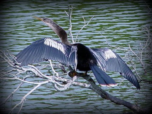 photosbyteena's profile picture. Love to take photos!