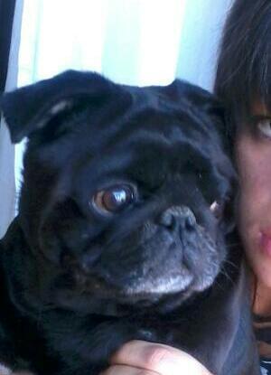 OttoMilky's profile picture. Sí la Tauromaquia es Cultura. Podemos,considera el Cannibalismo Gastronomía?
#MAREAFUCSIA💜💜💜💜