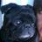 OttoMilky's profile image