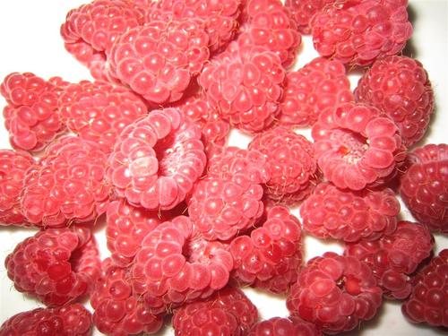 healthylifetwit's profile picture. Glad to know everyone are looking forward for a healthy life.