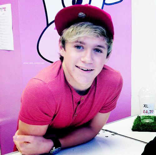 I love Niall Horan, Harry Styles, Zayn Malik, Liam Payne and Louis Tomlinson!