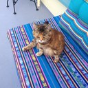 mason hebert - @MasonHebert - Twitter