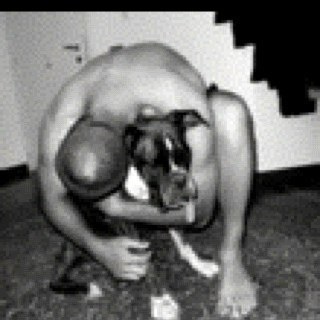 MicheleErcolin1's profile picture. 