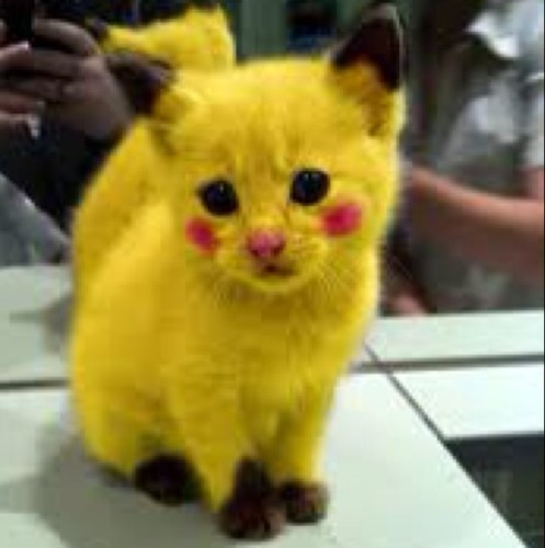 B_M_A_J's profile picture. 