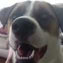 Vanessa bump - @vgbump - Twitter