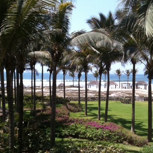 ale_elizondoc's profile picture. 