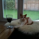 Denise Boyd - @MrsDBoyd - Twitter