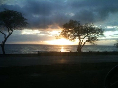 ipmangmbkalae's profile picture. 