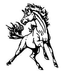North Moore High School opened in 1965 and remains the bond that ties the communities of Highfalls, Robbins, and Westmoore together. Go Mustangs!