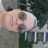 ele_q83's profile image