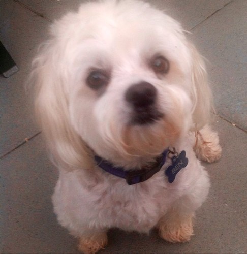 BKilhams's profile picture. Was once a Republican. Now I’m a leftist, Libtard nutjob. Or, so I’m told.