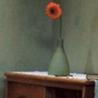Eulàlia Iglesias Huix (@euiglesiashuix) 's Twitter Profile