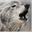numii9howt's profile image